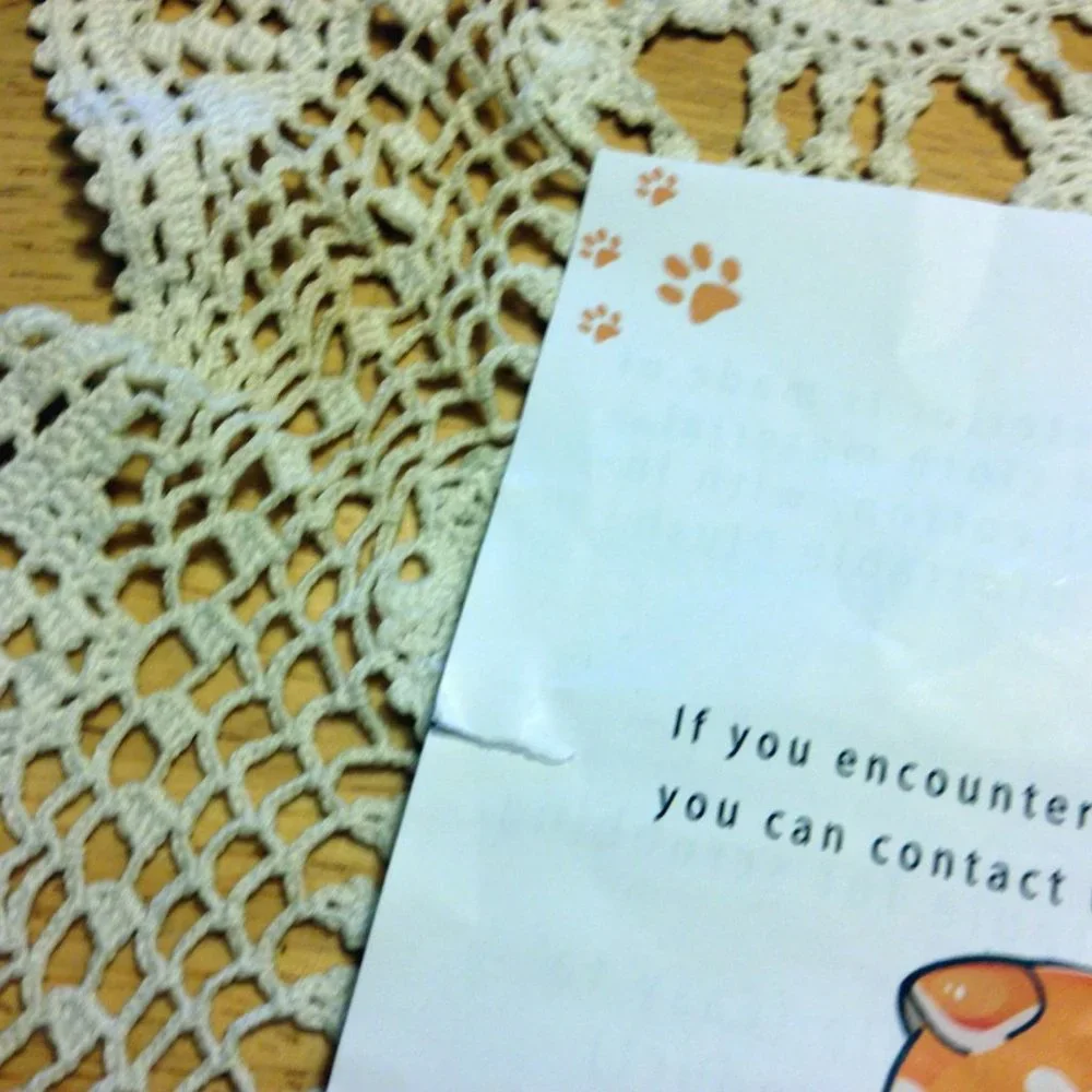 NWOT Dog Cone with soft inside, size XS